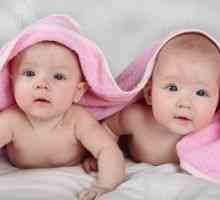Раѓањето на близнаците, веројатноста за појава на раѓање