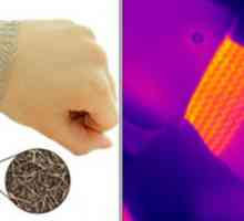 Сребрена nanoset замени затоплување маст