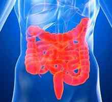 На симптомите на синдром на нервозно дебело црево (IBS)