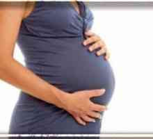 Системски еритематозен лупус и бременоста