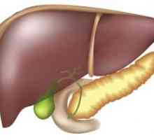 Систем за отстапување на црниот дроб