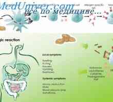 Структурата на алергени. Т-клеточни епитопи