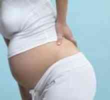 Болка за време на почетокот на бременоста. Бременост болки во грбот. Што ако на болки во грбот за…