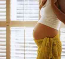 Како да се утврди колку недели од бременоста. Како да определи гестациската возраст? Одредување на…
