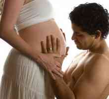 Како да се однесуваат во иднина татко? Бременоста е многу посебен период во животот на двајцата…