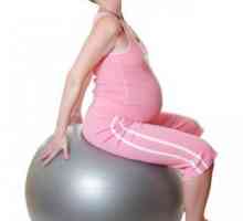 Што вежби не може да се направи за бремени жени. Вежби за бремени жени во термин. Гимнастика за…