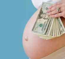 Кои се последиците на сурогат бременост? Што е сурогат мајчинство. сурогатство