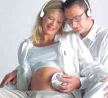 CTG фетусот за време на бременоста. Ултразвук и CTG фетусот за време на бременоста. Дали треба да…