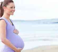 Мода за бремени жени 2013. Ние изберете облека за бремени и доилки мајки