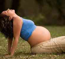Вежби за бремени жени. Гимнастика за бремени жени. Вежби за бремени жени