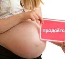 Законот за сурогат бременост во 2012 година. Законодавството што го регулира користењето на сурогат…