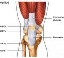 Колкот и коленото зглобовите на возрасни