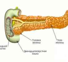 Панкреасот тело