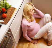 Токсокаријаза во бременоста