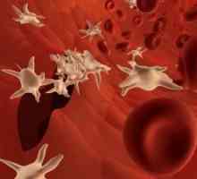 Тромбоцити во крвта: тоа значи дека стапката на тромбоцити