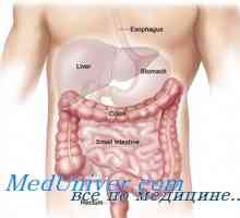 Влијанието на тироидната жлезда во стомакот. Стомакот по тироидектомија тироидектомија