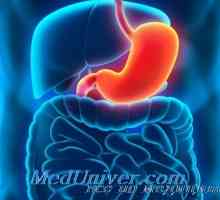 Ефект на хормонот за раст (GH) во стомакот. Вредноста за надбубрежните ACTH