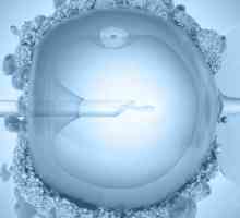 Запек по ембрио трансфер (IVF)