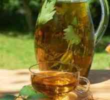 Зелен чај со панкреатитис (на панкреасот), комбуха, јас може да се пие?
