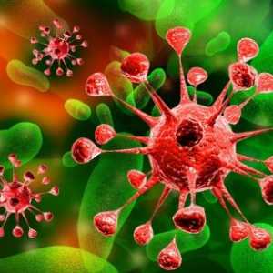 Аденовирус инфекција: третман, симптоми, превенција