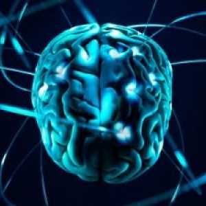 Демиелинизирачки болести на нервниот систем: симптоми, третманот, причини