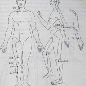 Европската ароматерапијата за мускулно-скелетни систем