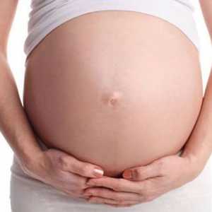 Гастроентеритис за време на бременоста