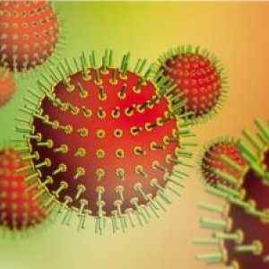 Chlamydia: третман, симптомите, причините, симптомите