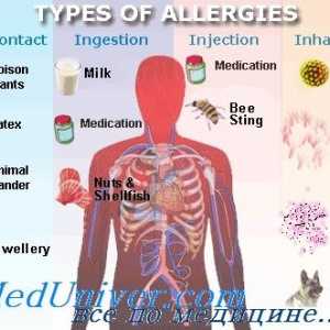 Епидемиологија (преваленца) алергиски заболувања атопија