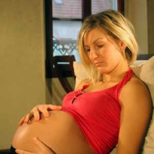 Класична подготовка за породување (rodopodgotovka)