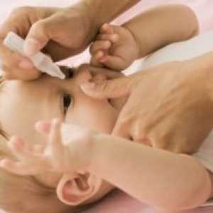 Малите сипаници новороденче