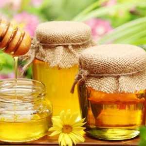 Третман на дуоденален улкус со мед и прополис