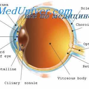 Presbyopia. Ученик Дијаметар ученик