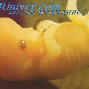 Урогениталниот синус ембрионот. Развој на сексуалните органи на фетусот