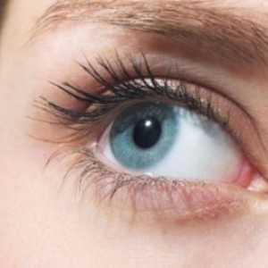 Оптичкиот систем на човечкото око и нејзините промени поврзани со стареењето