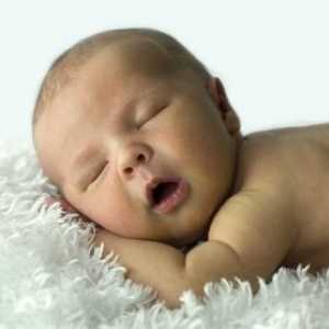 Бебе организација спијат во првата година од животот