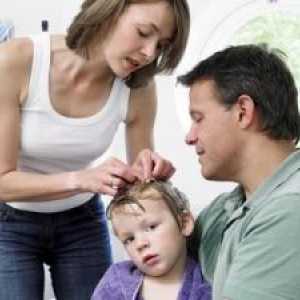 Pediculosis кај децата, третман, причините, симптомите