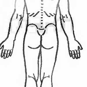 Практиката на истегнување на мускулите на грбот