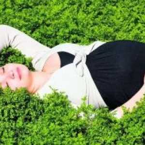 Зашеметеност за време на бременоста