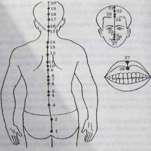 Локација и анатомија на точки на телото за аромотерапија. Perednesredinny Меридијан jen-mai