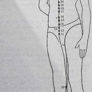 Локација и анатомија на точки на телото за аромотерапија. бубрезите Meridian