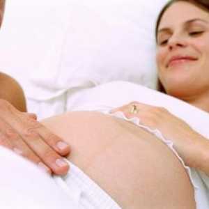 Улогата на придружник за време на породувањето