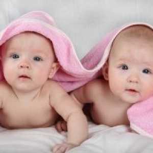 Раѓањето на близнаците, веројатноста за појава на раѓање