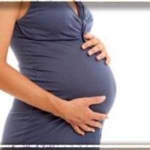 Системски еритематозен лупус и бременоста