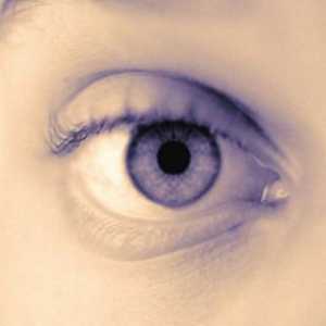 Васкуларни аномалии и болести на ретината