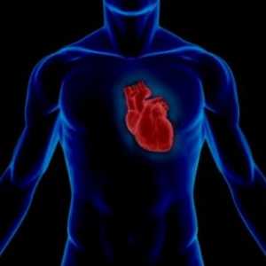 Статистика кардио васкуларниот систем