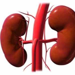 Стеноза и оклузија на бубрежните артерии: симптоми, причини, третман, симптомите