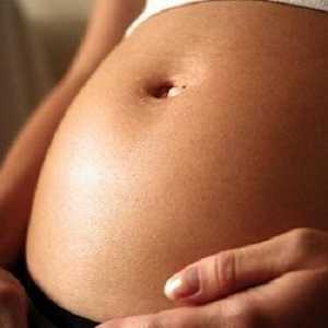 Како да се утврди кој период од бременоста и rodov.vopreki надева на многу идни мајки, особено на…