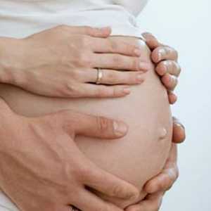 Консултации на жените на 15-тата недела beremennosti.chto треба да знаете за бремена мајка во овој…