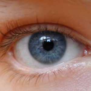 Трахома око, третман и симптоми